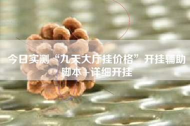 今日实测“九天大厅挂价格	”开挂辅助脚本+详细开挂