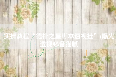 实操教程“德扑之星脚本透视挂”(曝光透视必备猫腻