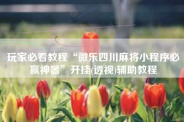 玩家必看教程“微乐四川麻将小程序必赢神器”开挂(透视)辅助教程