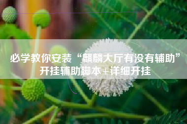 必学教你安装“麒麟大厅有没有辅助”开挂辅助脚本+详细开挂