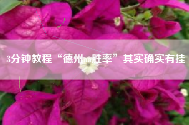 3分钟教程“德州aa胜率	”其实确实有挂