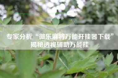 专家分析“微乐麻将万能开挂器下载	”揭秘透视辅助万能挂