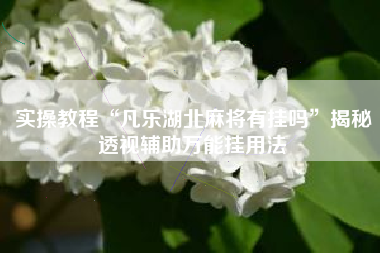 实操教程“凡乐湖北麻将有挂吗	”揭秘透视辅助万能挂用法