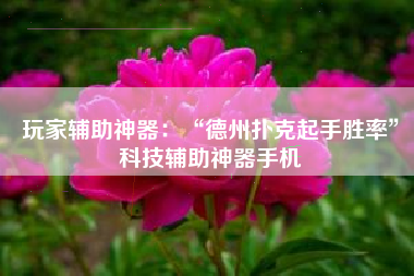 玩家辅助神器：“德州扑克起手胜率”科技辅助神器手机