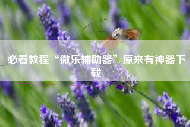 必看教程“微乐辅助器”原来有神器下载
