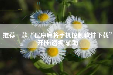 推荐一款“程序麻将手机控制软件下载”开挂(透视)辅助