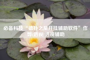 必备科技“德扑之星开挂辅助软件	”作弊(透视)透视辅助