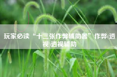 玩家必读“十三张作弊辅助器”作弊(透视)透视辅助