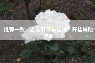 推荐一款“老友麻将有挂吗”开挂辅助详细