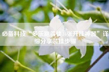 必备科技“多乐跑得快16张开挂神器”详细分享装挂步骤