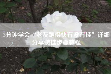3分钟学会“老友跑得快有没有挂”详细分享装挂步骤教程