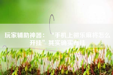 玩家辅助神器：“手机上微乐麻将怎么开挂”其实确实有挂