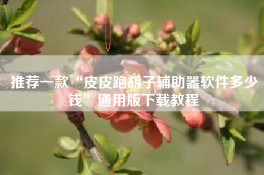 推荐一款“皮皮跑胡子辅助器软件多少钱	”通用版下载教程