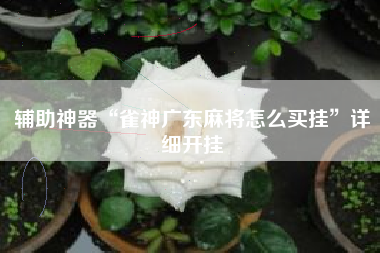 辅助神器“雀神广东麻将怎么买挂	”详细开挂