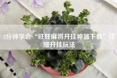 3分钟学会“旺旺麻将开挂神器下载”详细开挂玩法