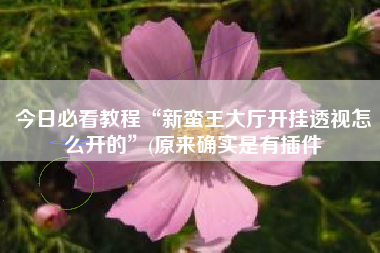 今日必看教程“新蛮王大厅开挂透视怎么开的	”(原来确实是有插件