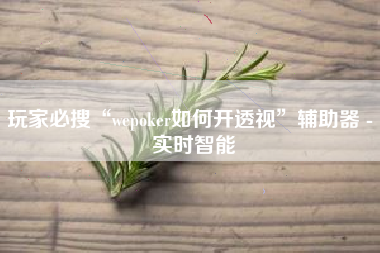 玩家必搜“wepoker如何开透视”辅助器 - 实时智能