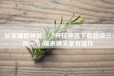 玩家辅助神器：“开挂神器下载超级三加一	”(原来确实是有插件