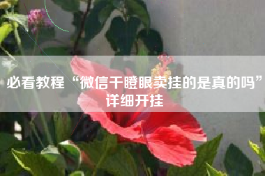 必看教程“微信干瞪眼卖挂的是真的吗	”详细开挂
