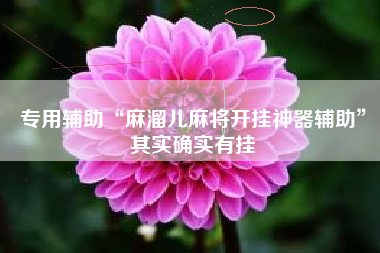 专用辅助“麻溜儿麻将开挂神器辅助”其实确实有挂