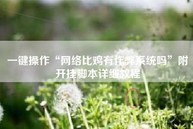 一键操作“网络比鸡有作弊系统吗	”附开挂脚本详细教程