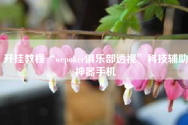 开挂教程“wepoker俱乐部透视	”科技辅助神器手机