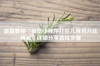 最新教你“微信小程序打哈儿麻将开挂神器	”详细分享装挂步骤