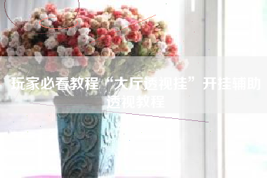 玩家必看教程“大厅透视挂”开挂辅助透视教程