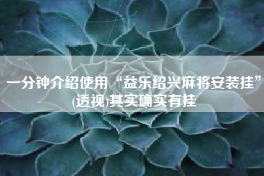 一分钟介绍使用“益乐绍兴麻将安装挂”(透视)其实确实有挂