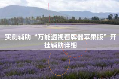 实测辅助“万能透视看牌器苹果版”开挂辅助详细