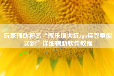 玩家辅助神器“微乐填大坑app挂哪里能买到”详细辅助软件教程