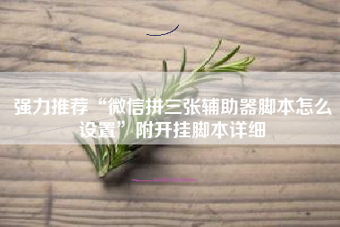 强力推荐“微信拼三张辅助器脚本怎么设置”附开挂脚本详细