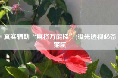 真实辅助“麻将万能挂”(曝光透视必备猫腻