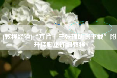 [教程经验]“方片十三张辅助器下载	”附开挂脚本详细教程