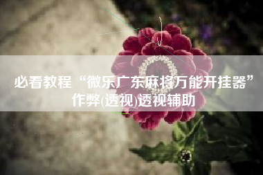 必看教程“微乐广东麻将万能开挂器”作弊(透视)透视辅助