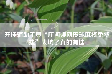开挂辅助工具“庄河娱网皮球麻将免费挂	”太坑了真的有挂