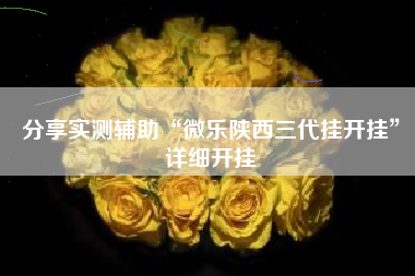 分享实测辅助“微乐陕西三代挂开挂”详细开挂