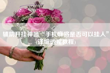 辅助开挂神器“手机麻将是否可以挂人	”(详细透视教程)