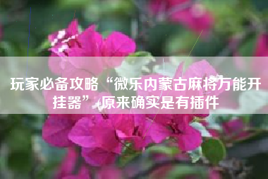 玩家必备攻略“微乐内蒙古麻将万能开挂器	”(原来确实是有插件