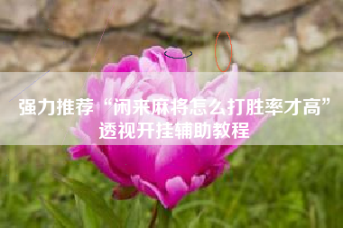 强力推荐“闲来麻将怎么打胜率才高”透视开挂辅助教程