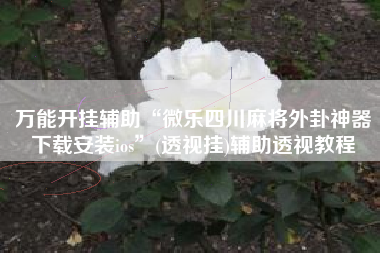 万能开挂辅助“微乐四川麻将外卦神器下载安装ios”(透视挂)辅助透视教程