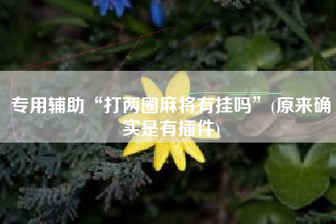 专用辅助“打两圈麻将有挂吗	”(原来确实是有插件)