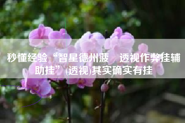 秒懂经验“智星德州菠籮透视作弊挂辅助挂”(透视)其实确实有挂