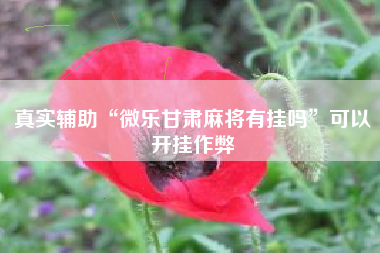 真实辅助“微乐甘肃麻将有挂吗	”可以开挂作弊