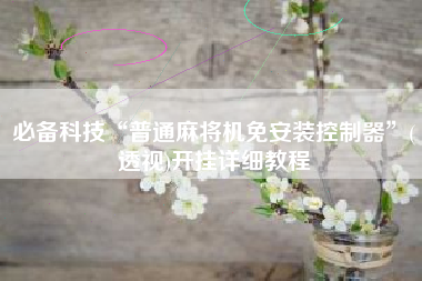 必备科技“普通麻将机免安装控制器	”(透视)开挂详细教程