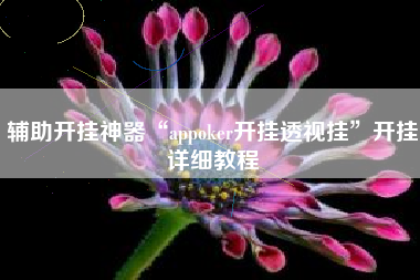 辅助开挂神器“appoker开挂透视挂”开挂详细教程