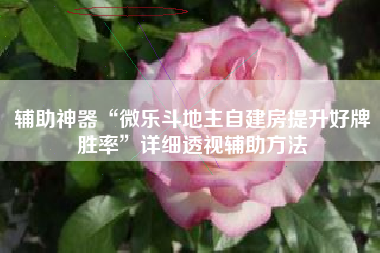 辅助神器“微乐斗地主自建房提升好牌胜率”详细透视辅助方法