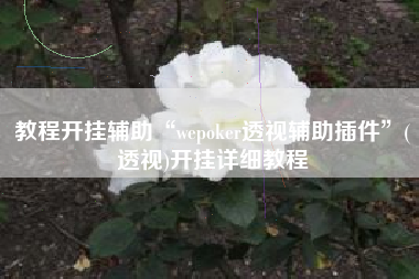教程开挂辅助“wepoker透视辅助插件	”(透视)开挂详细教程