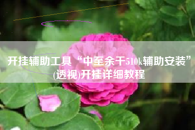 开挂辅助工具“中至余干510k辅助安装”(透视)开挂详细教程