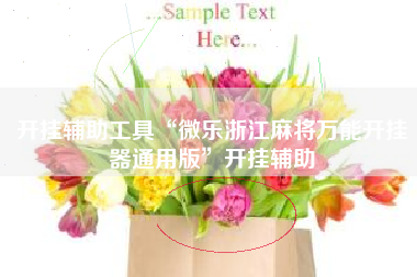 开挂辅助工具“微乐浙江麻将万能开挂器通用版	”开挂辅助